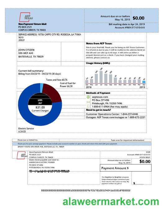 USA AEP Texas electricity utility bill template in Word and PDF format
